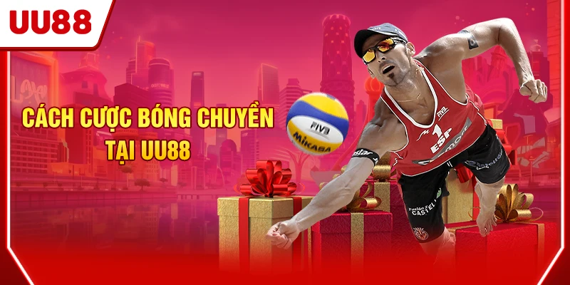 Cách cược bóng chuyền tại UU88