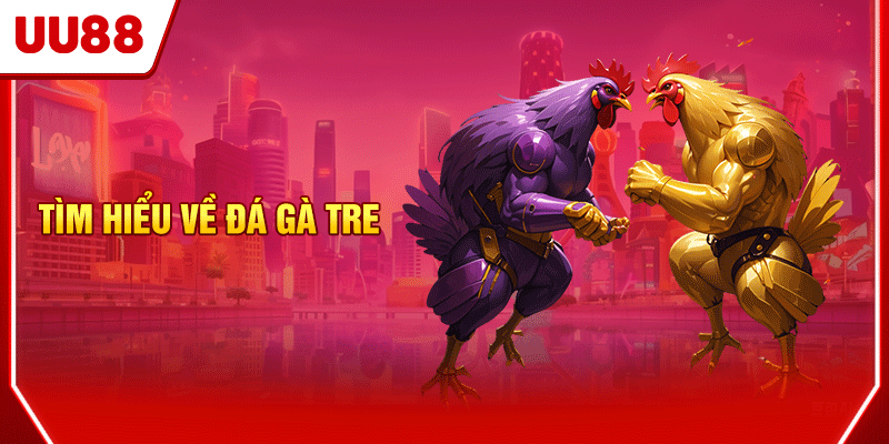 Tìm hiểu về đá gà tre